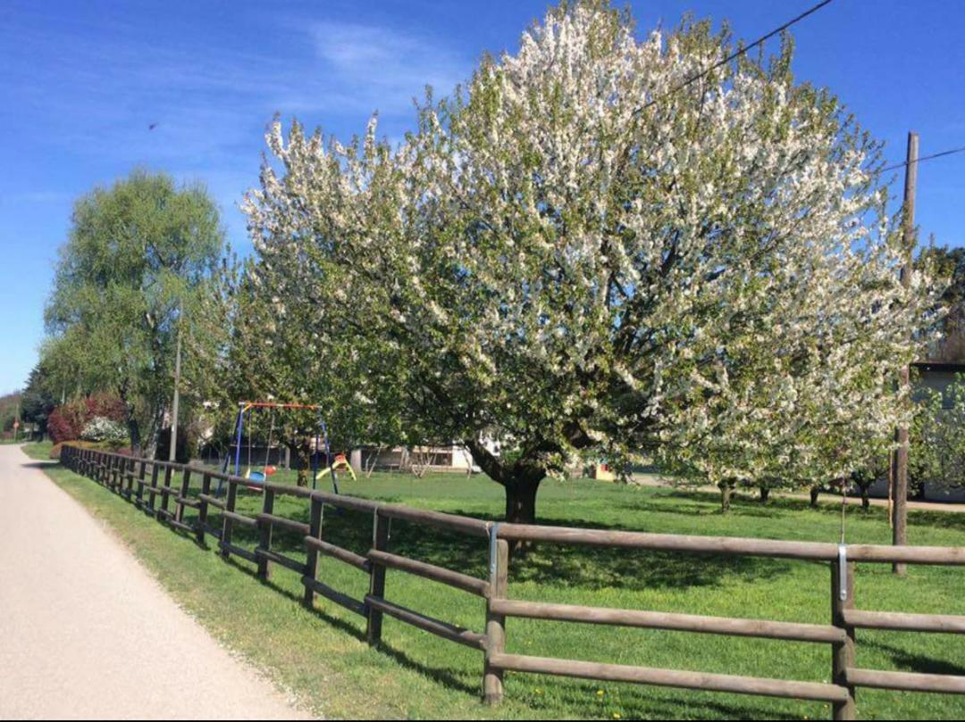 Azienda Agrituristica Scotti Somma Lombardo Kültér fotó