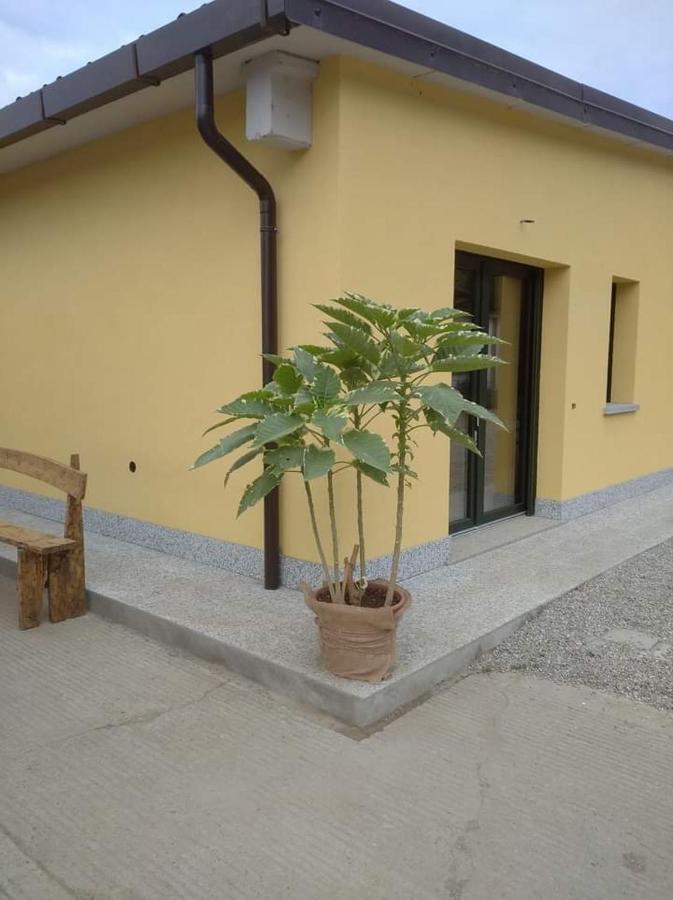 Azienda Agrituristica Scotti Somma Lombardo Kültér fotó